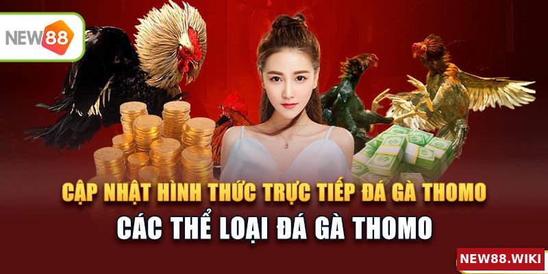 Cập nhật những hình thức phát trực tiếp đá gà thomo