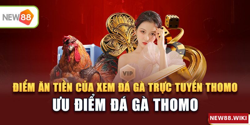 Những điểm cộng khi xem đá gà trực tuyến thomo