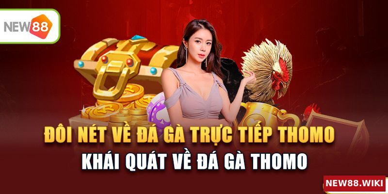 Giới thiệu tổng quan về đá gà thomo