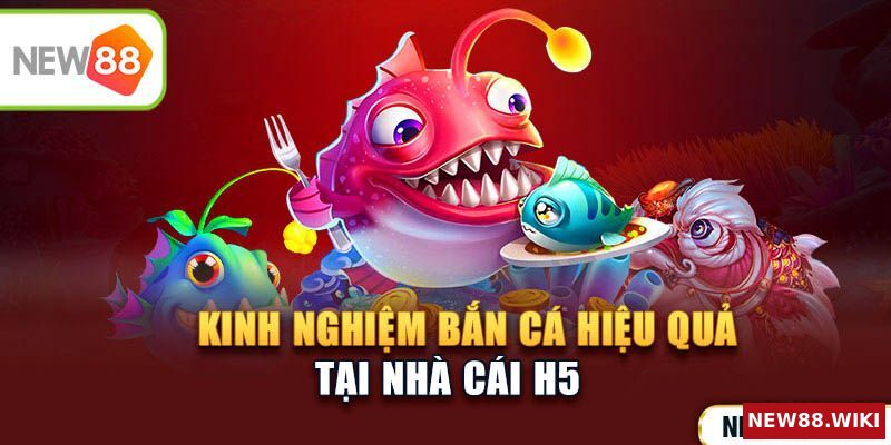 Kinh nghiệm săn cá hiệu quả tại nhà cái H5