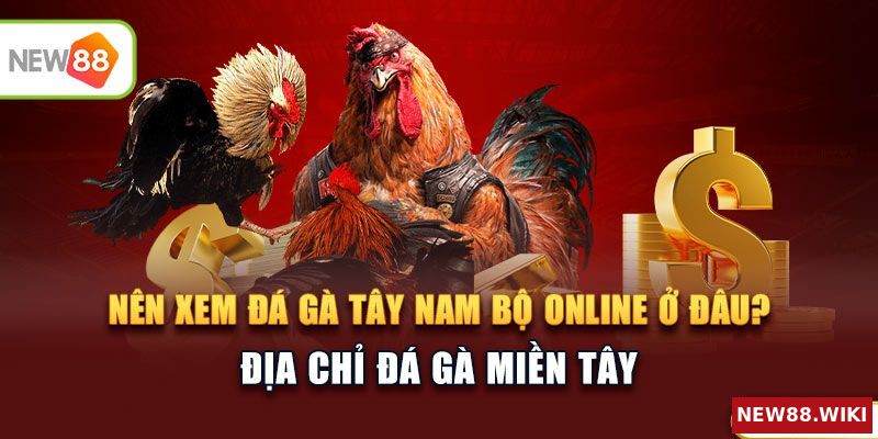 Nên xem đá gà Tây Nam Bộ online ở đâu