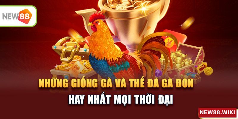Những giống gà và thế đá gà đòn hay nhất mọi thời đại
