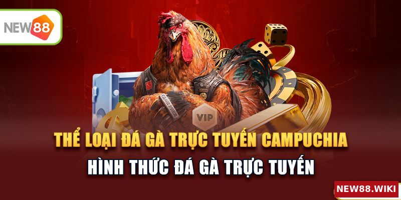 Các loại hình đá gà trực tuyến Campuchia đang thịnh hành