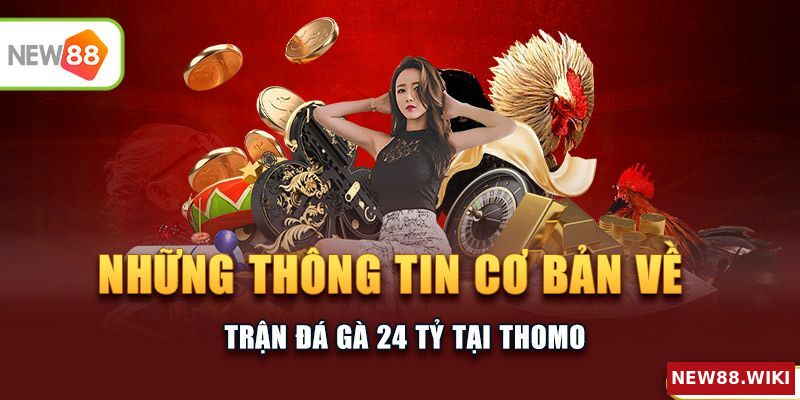 Các thông tin cơ bản xoay quanh trận đá gà 24 tỷ tại Thomo