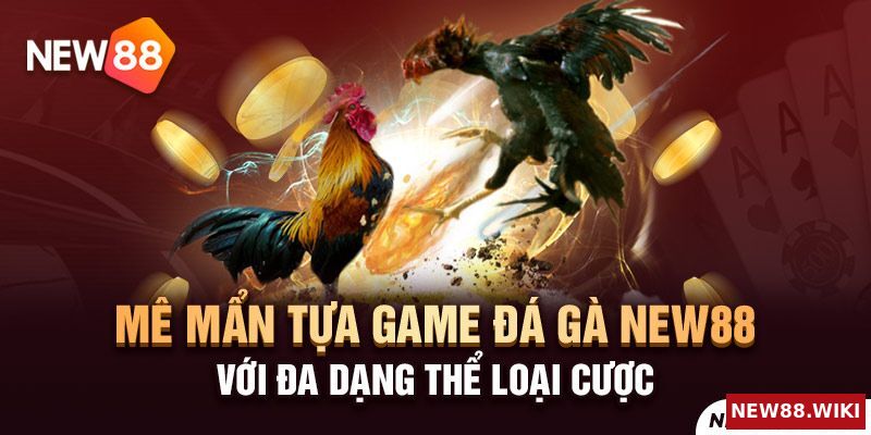 Hồi hộp từng giây phút cùng trò chơi đá gà New 88