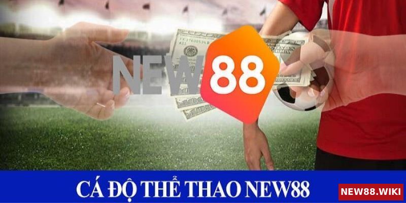 Sảnh thể thao New88 bắt tay với những thương hiệu nào?