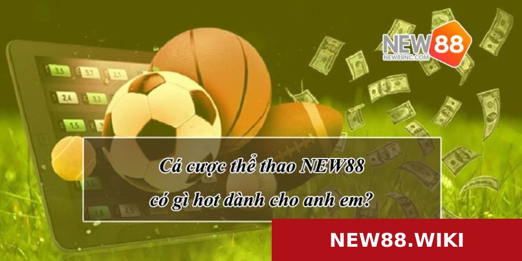 Cá cược thể thao NEW88 có gì hot dành cho anh em?