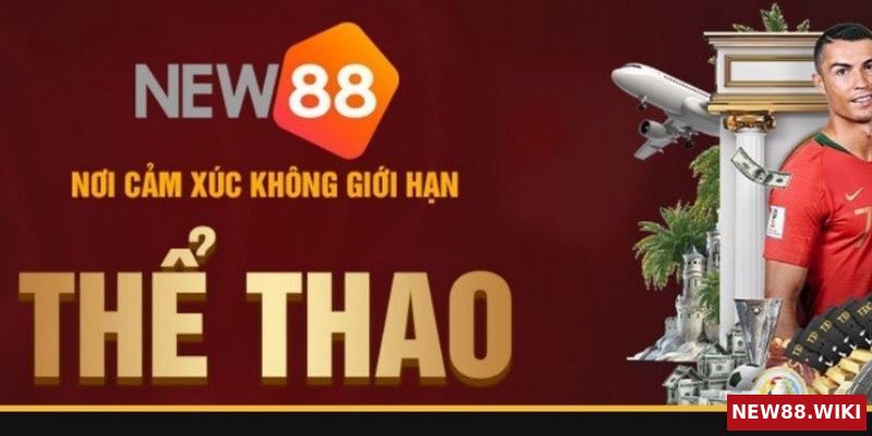 Thể thao New88 mở cược cho những bộ môn nào?