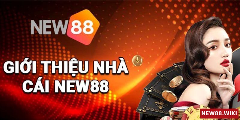 Vai trò quan trọng của bộ phận hỗ trợ New88