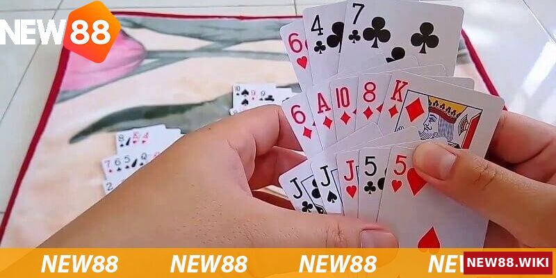 Một vài thông tin về bài binh 6 lá