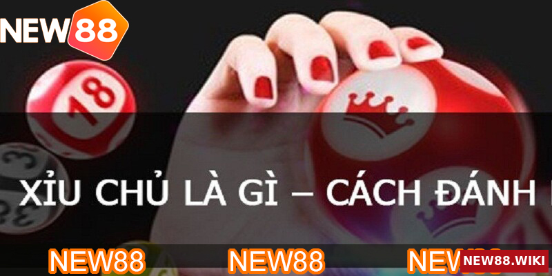 Khái niệm xỉu chủ là gì